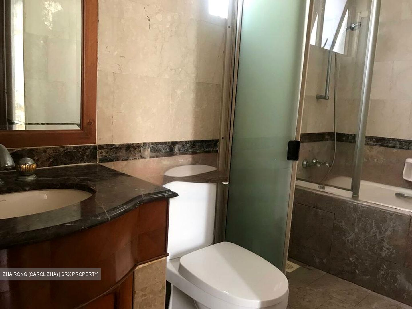 Parc Vista (D22), Condominium #479858841